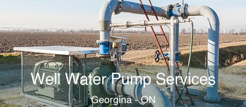  Well Water Pump Services Georgina - ON